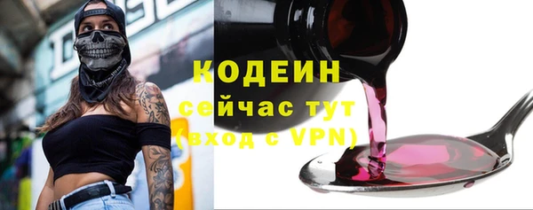 сатива Краснослободск