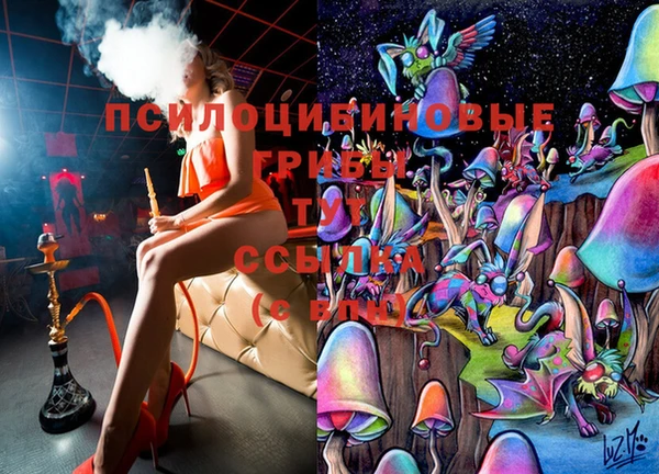 сатива Краснослободск