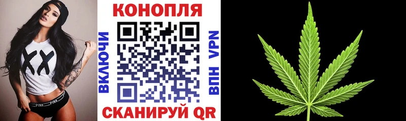 Конопля Bruce Banner Красково